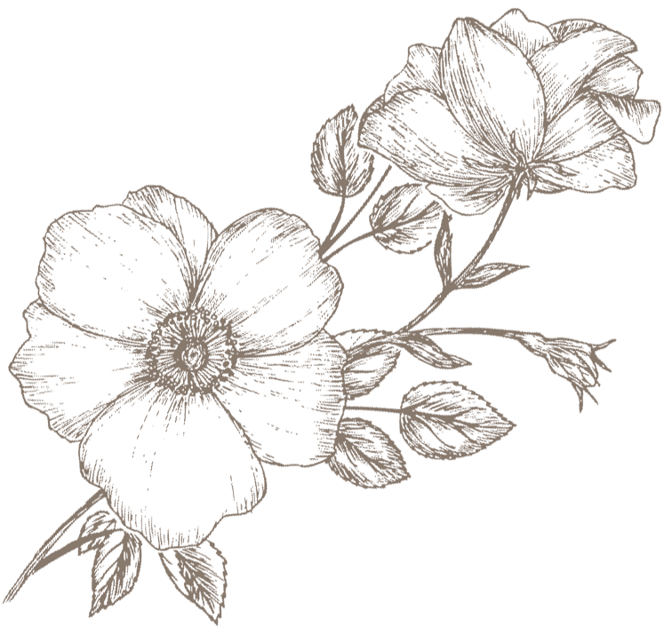 Detaillierte Zeichnung von Blumen und Blättern